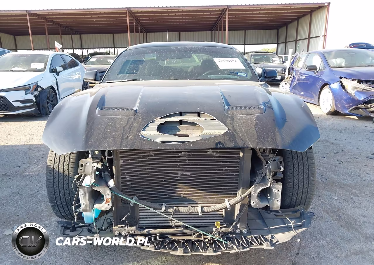 2020 Ford Mustang Ecoboost Fastback VIN:1FA6P8TH8L5184302 - 13