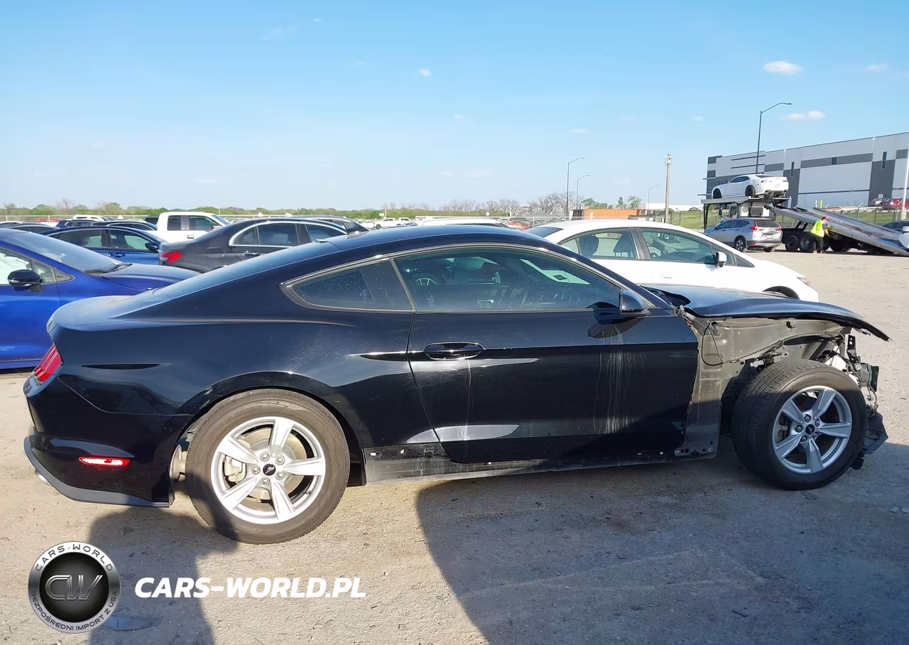 2020 Ford Mustang Ecoboost Fastback VIN:1FA6P8TH8L5184302 - 14