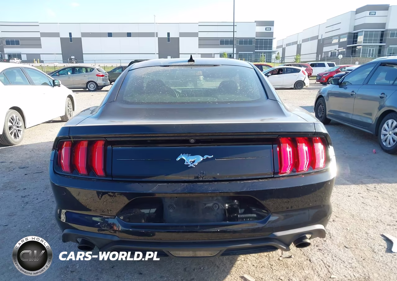 2020 Ford Mustang Ecoboost Fastback VIN:1FA6P8TH8L5184302 - 17