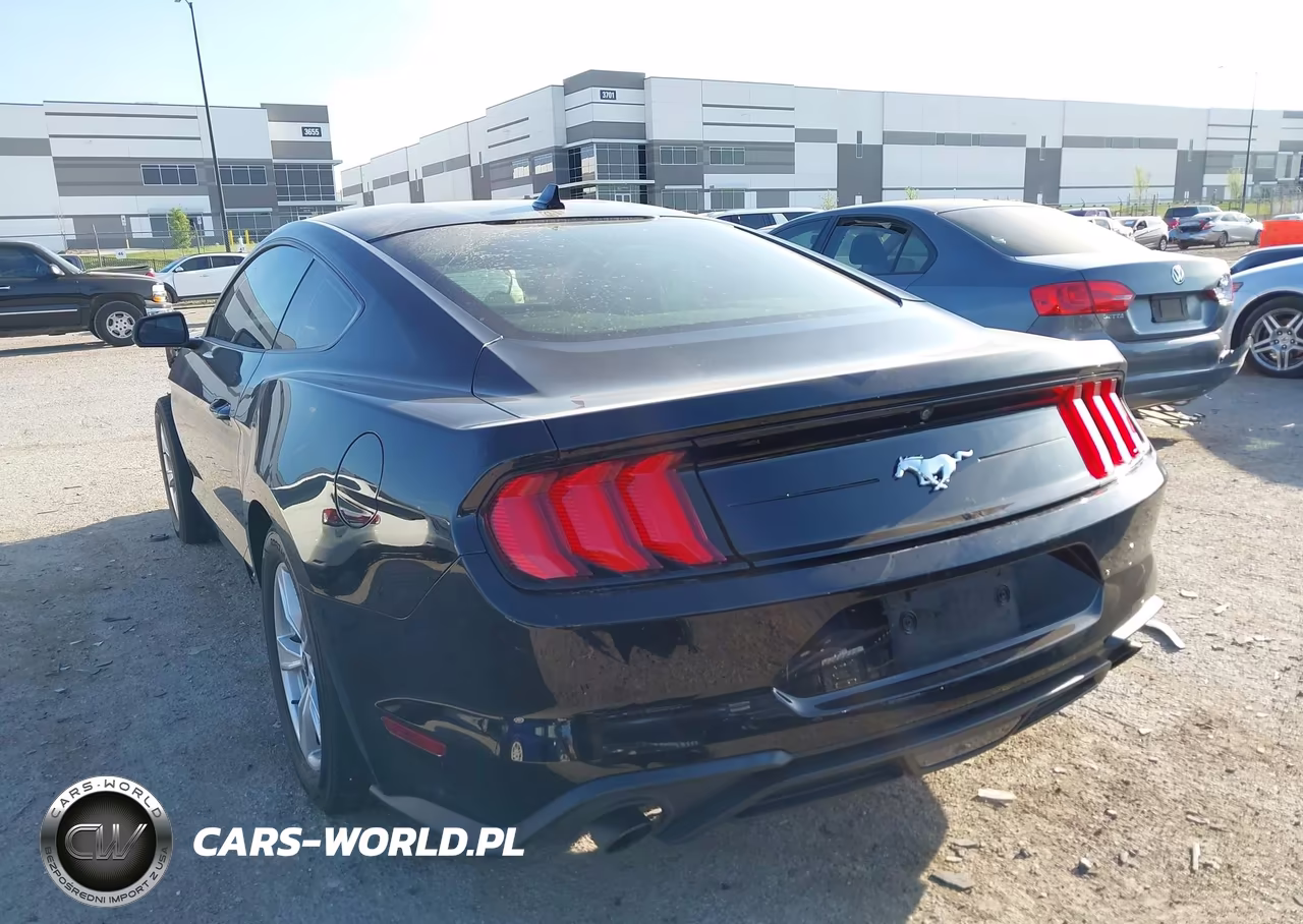 2020 Ford Mustang Ecoboost Fastback VIN:1FA6P8TH8L5184302 - 3