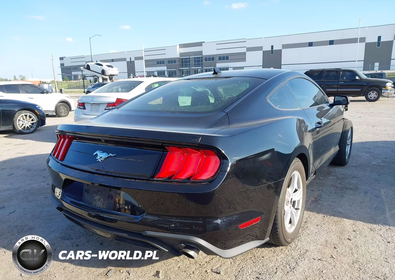 2020 Ford Mustang Ecoboost Fastback VIN:1FA6P8TH8L5184302 - 4