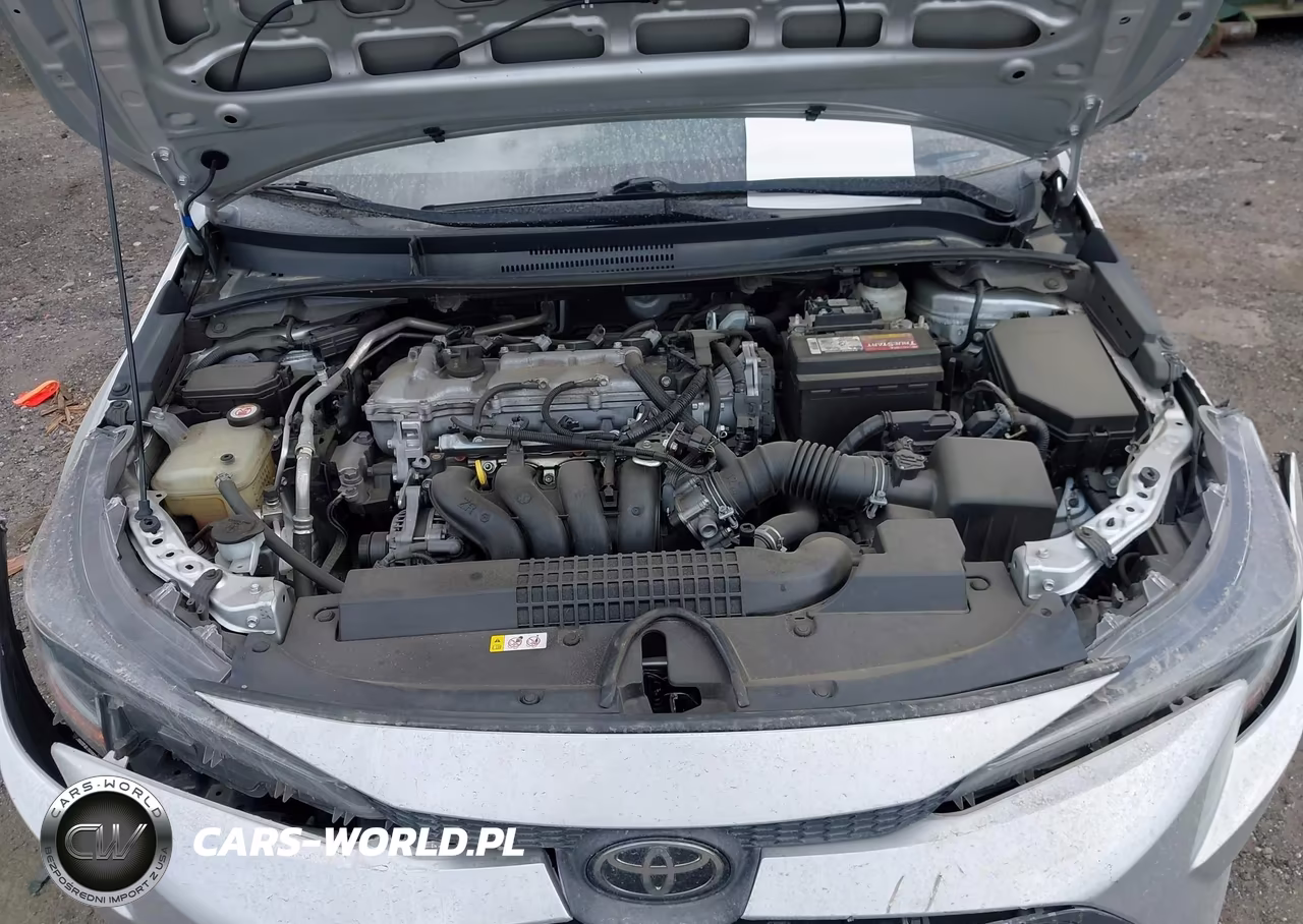 2020 Toyota Corolla Le VIN:5YFEPRAE0LP068079 - 10