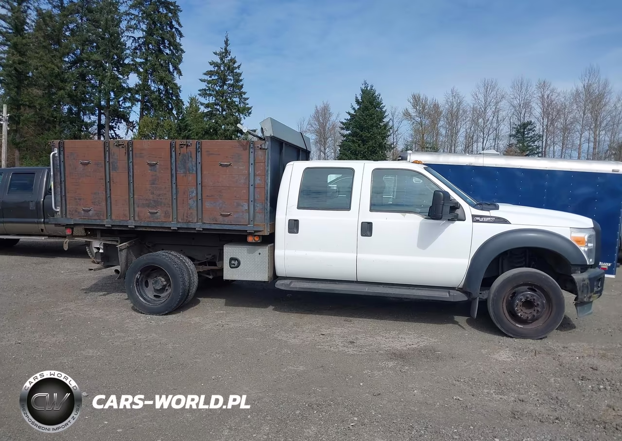 2015 Ford F-450 Chassis Xl VIN:1FD0W4GY9FEC28541 - 18