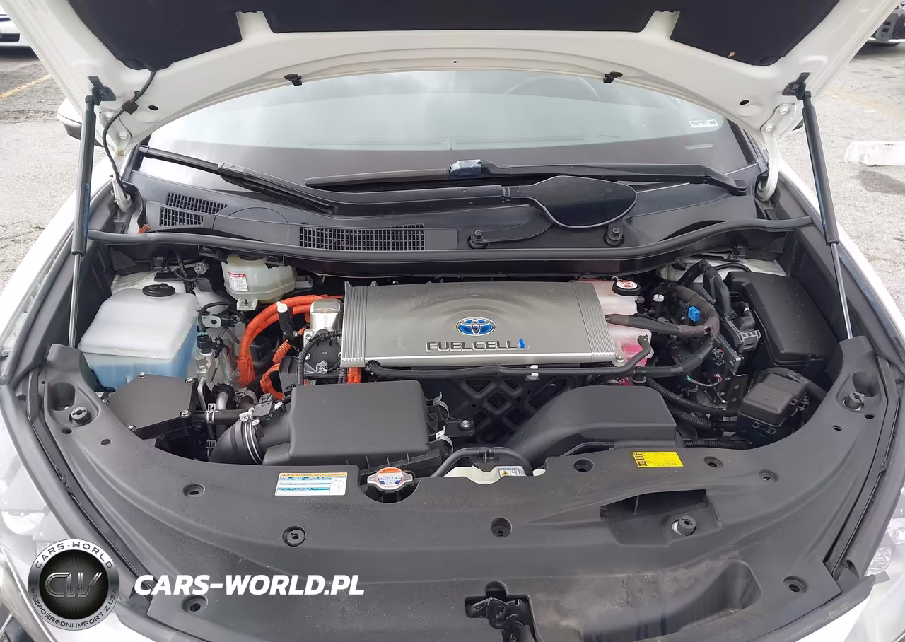2019 Toyota Mirai VIN:JTDBVRBD2KA006720 - 10