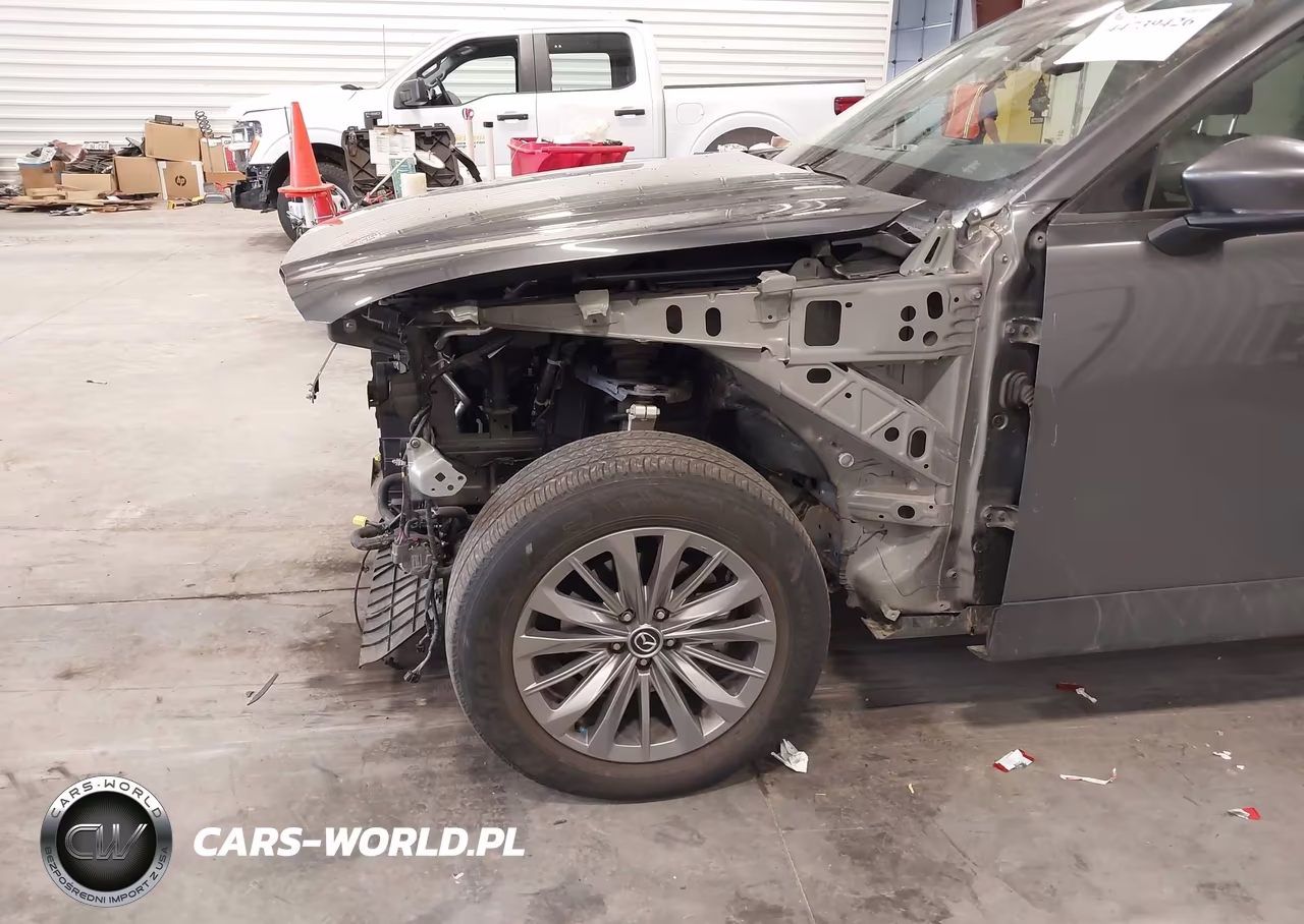 2024 Mazda Cx-90 3.3 Turbo Preferred VIN:JM3KKBHD6R1147430 - 18