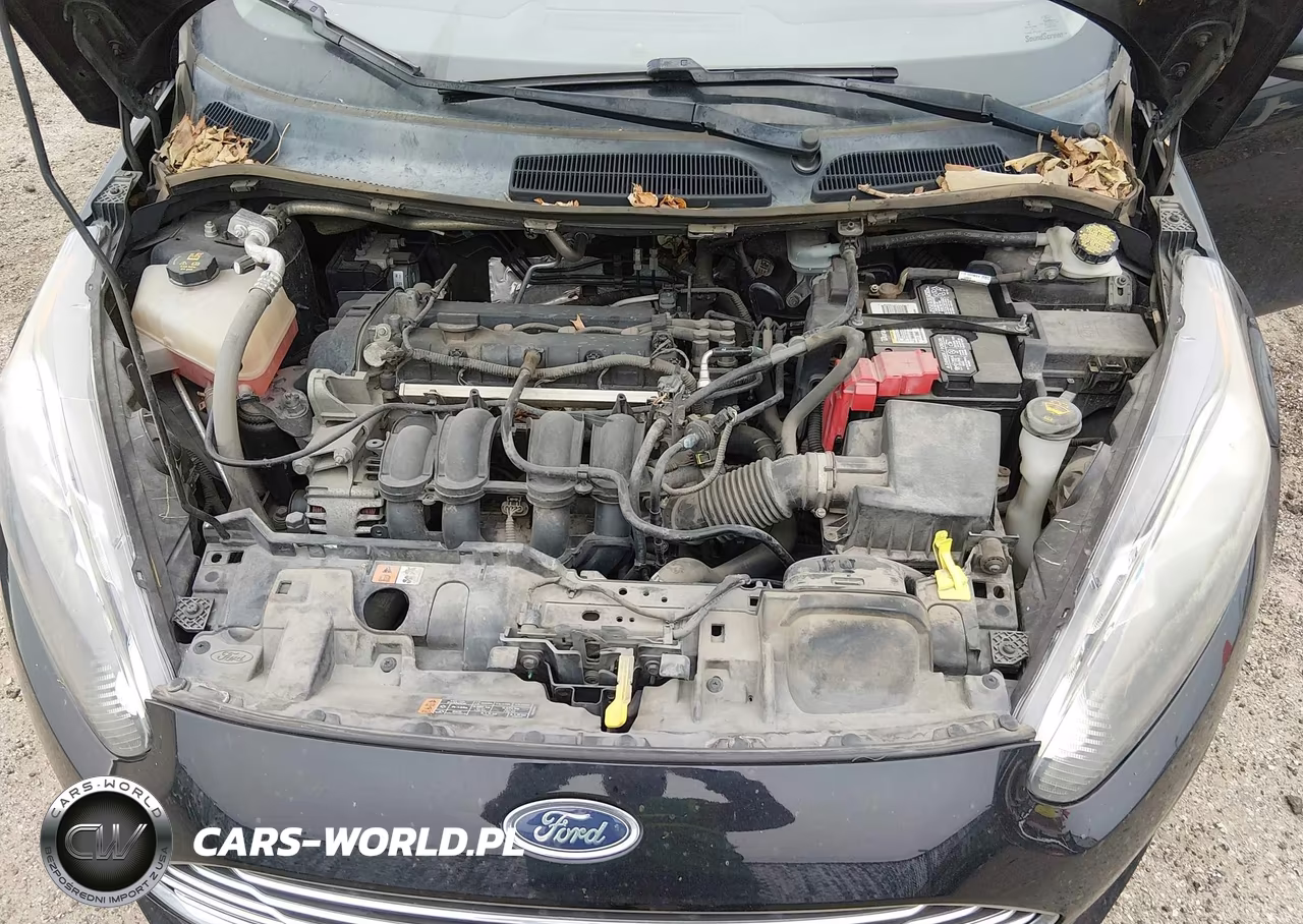 2016 Ford Fiesta Se VIN:3FADP4BJ8GM198396 - 10