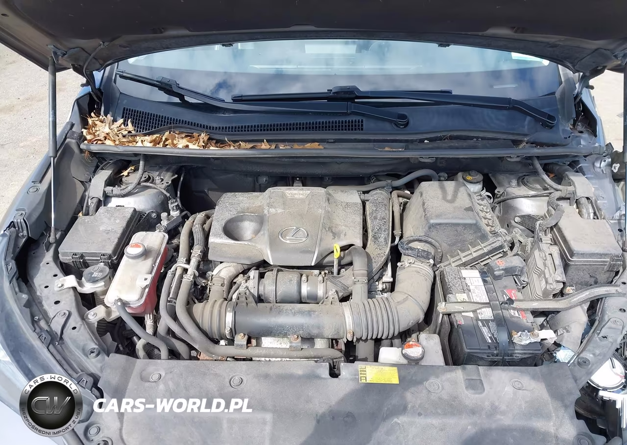 2015 Lexus Nx 200T VIN:JTJBARBZ3F2007377 - 10