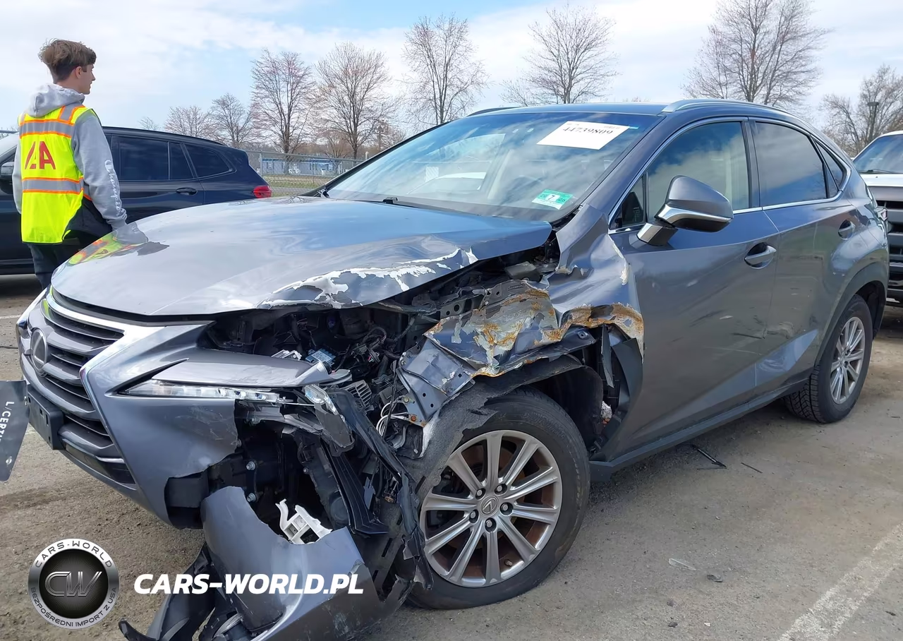 2015 Lexus Nx 200T VIN:JTJBARBZ3F2007377 - 6