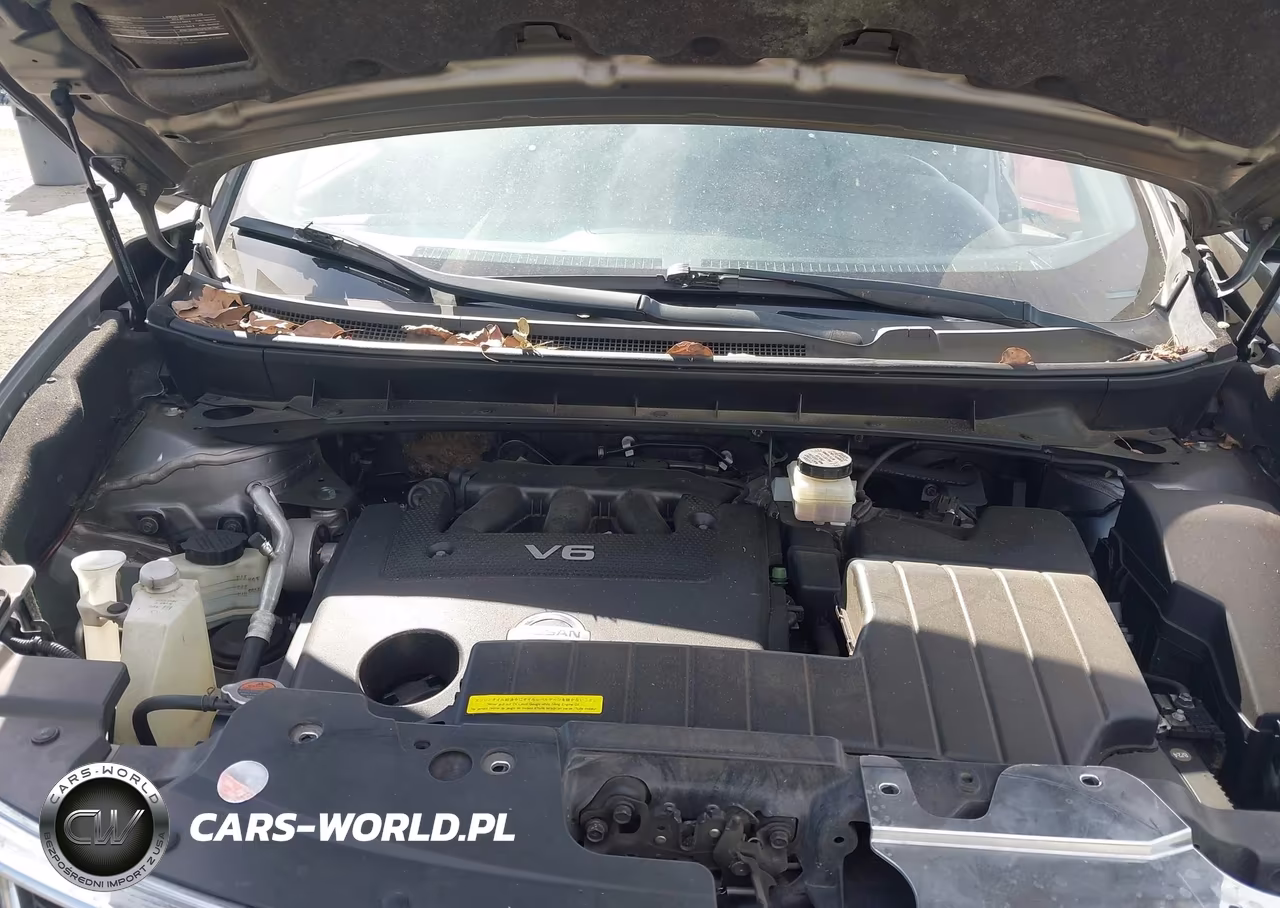 2013 Nissan Murano S VIN:JN8AZ1MU6DW211241 - 10