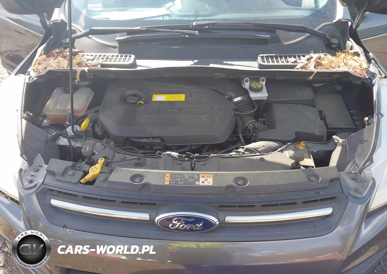 2016 Ford Escape Se VIN:1FMCU0GX8GUC80849 - 10