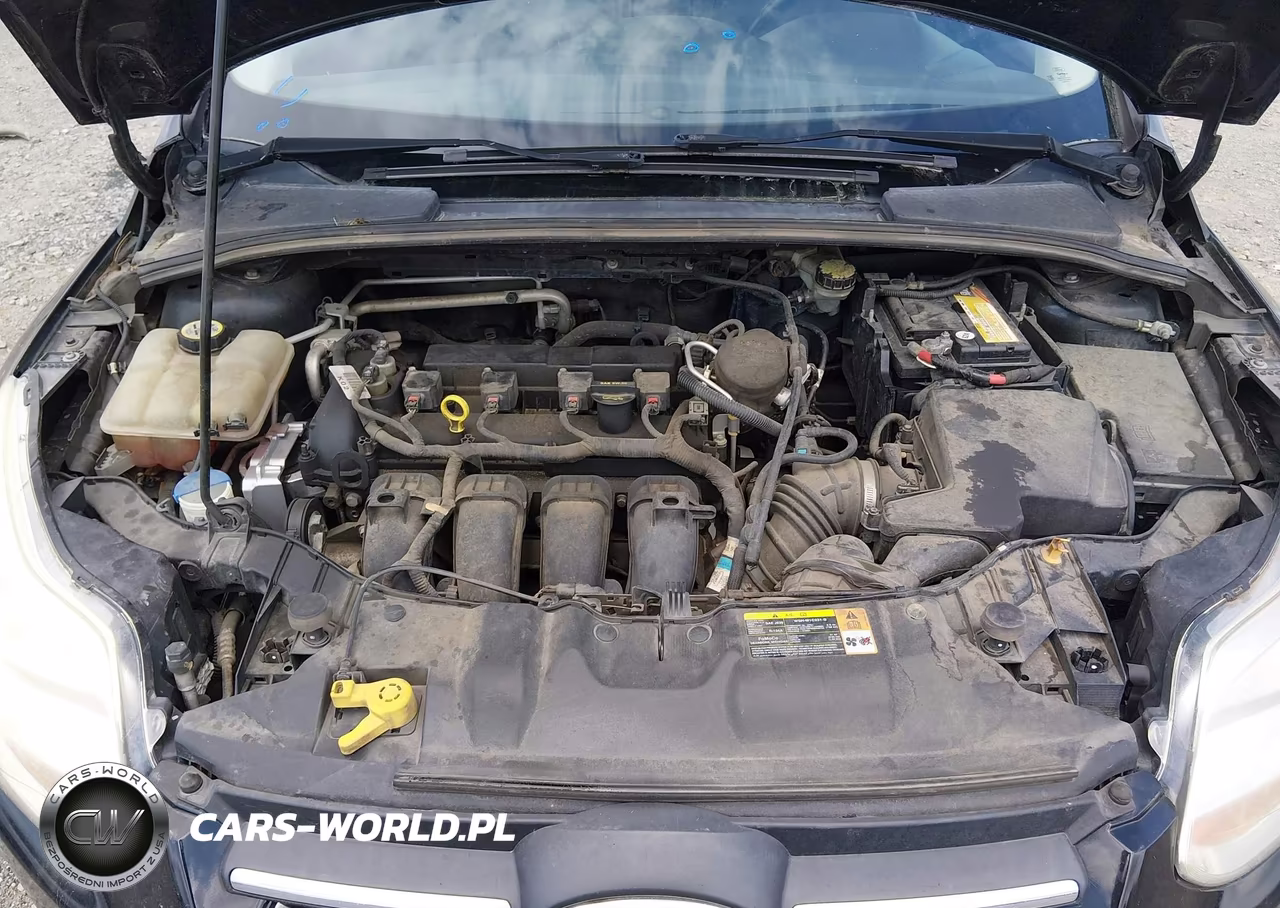 2013 Ford Focus Se VIN:1FADP3F28DL174822 - 10