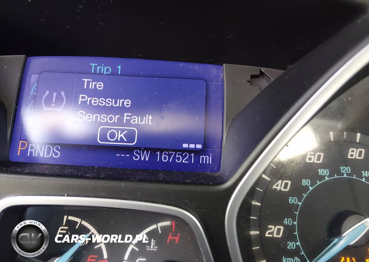2013 Ford Focus Se VIN:1FADP3F28DL174822 - 15