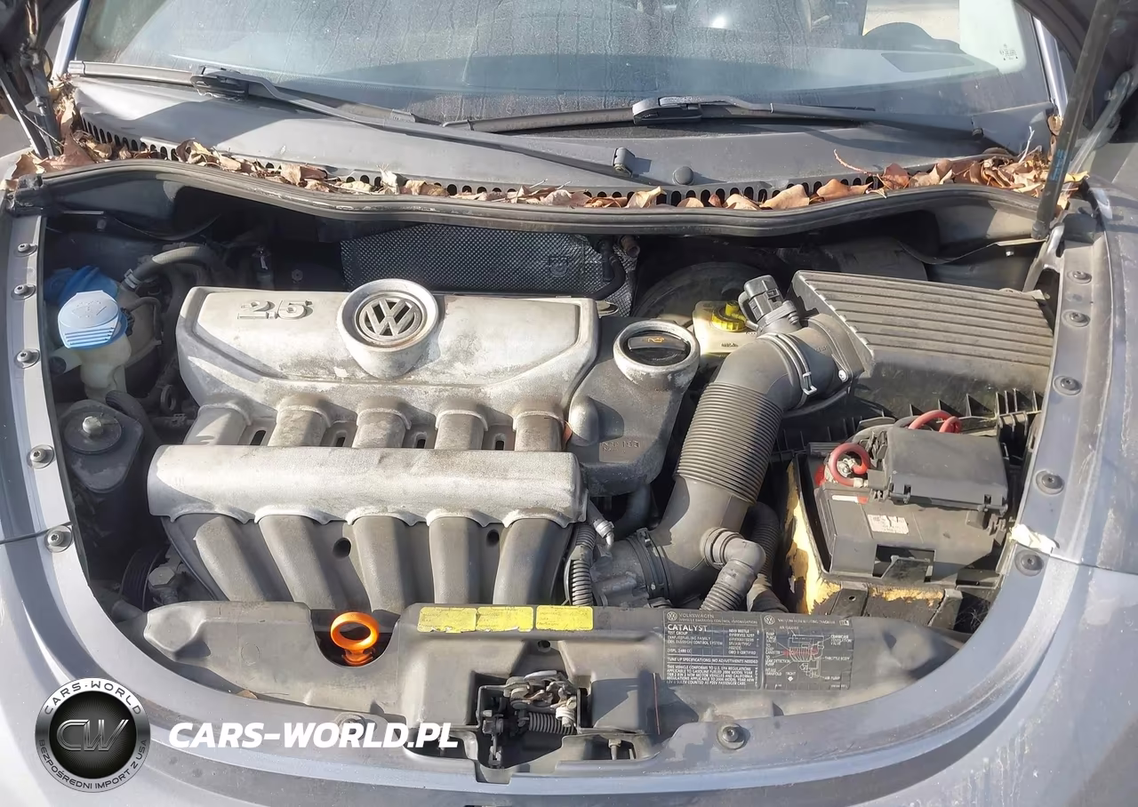2006 Volkswagen New Beetle 2.5 VIN:3VWRG31C36M416561 - 10