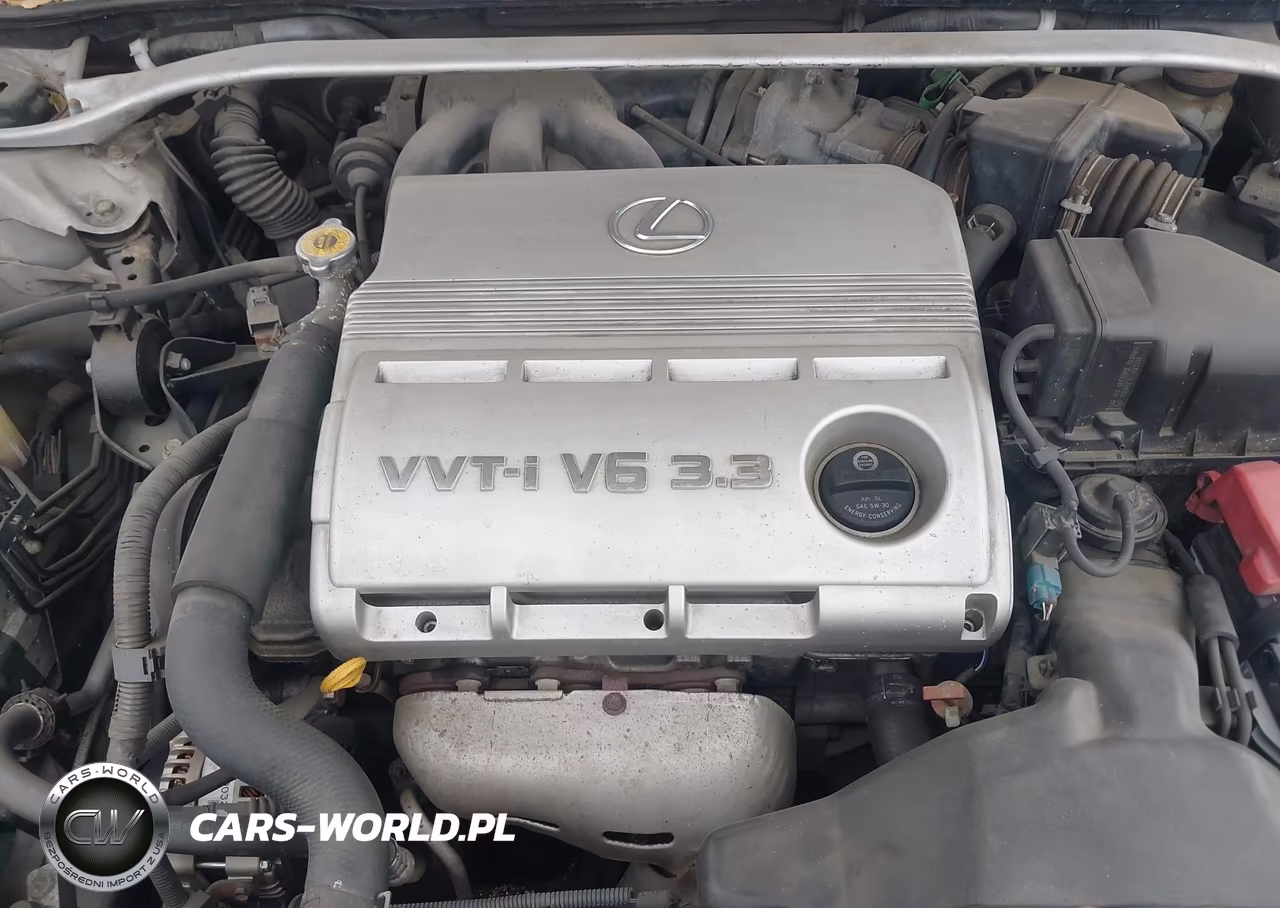 2004 Lexus Es 330 VIN:JTHBA30G745003277 - 10
