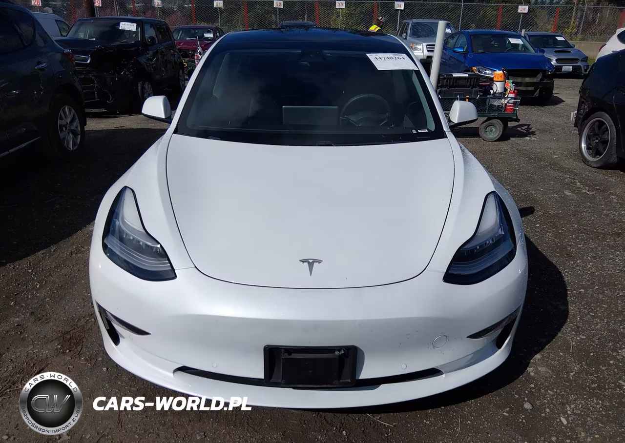 2021 Tesla Model 3 Standard Range Plus Rear-Wheel Drive VIN:5YJ3E1EA6MF838482 - 12