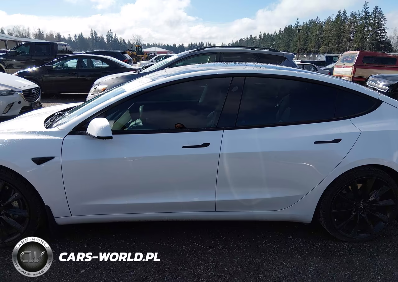 2021 Tesla Model 3 Standard Range Plus Rear-Wheel Drive VIN:5YJ3E1EA6MF838482 - 14
