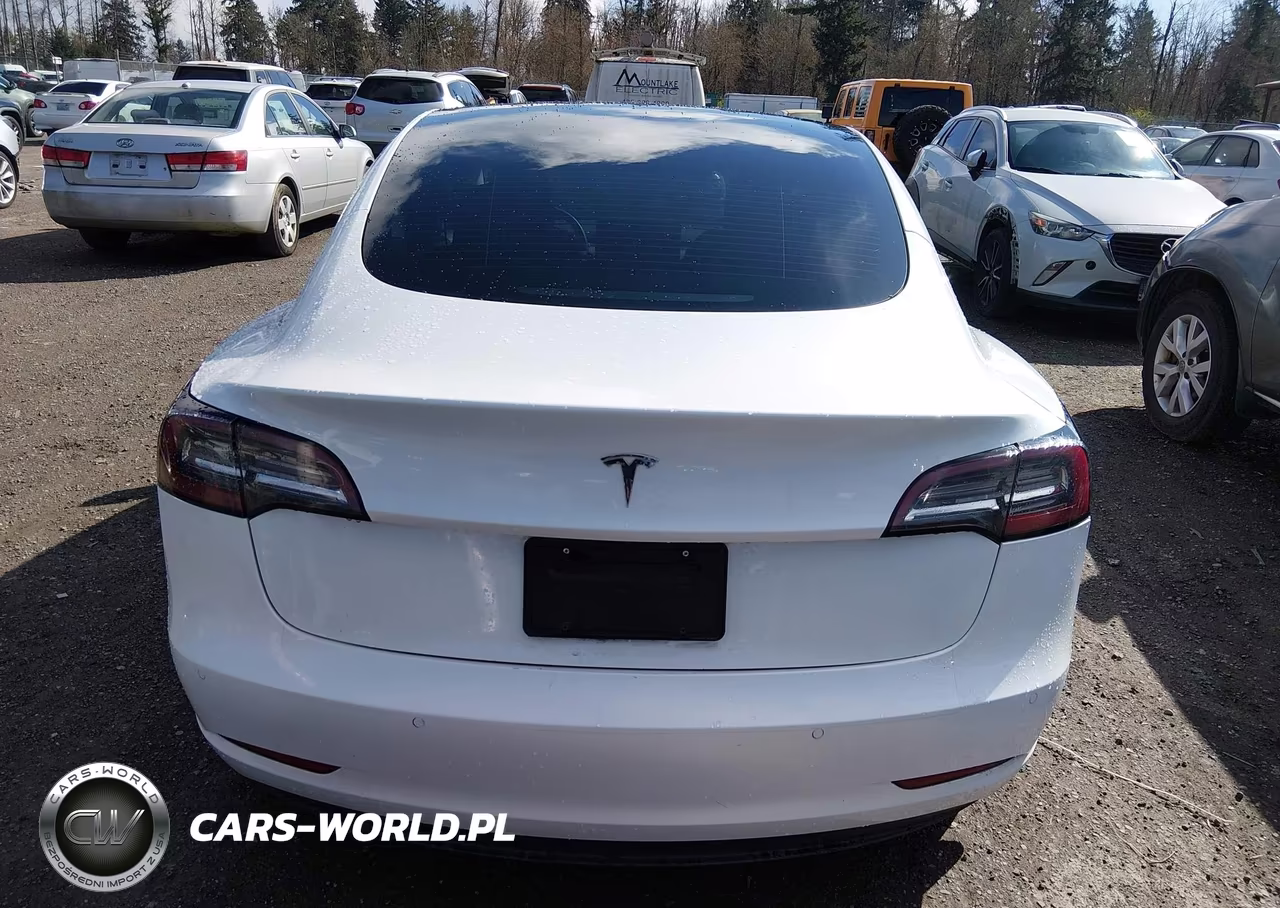 2021 Tesla Model 3 Standard Range Plus Rear-Wheel Drive VIN:5YJ3E1EA6MF838482 - 16