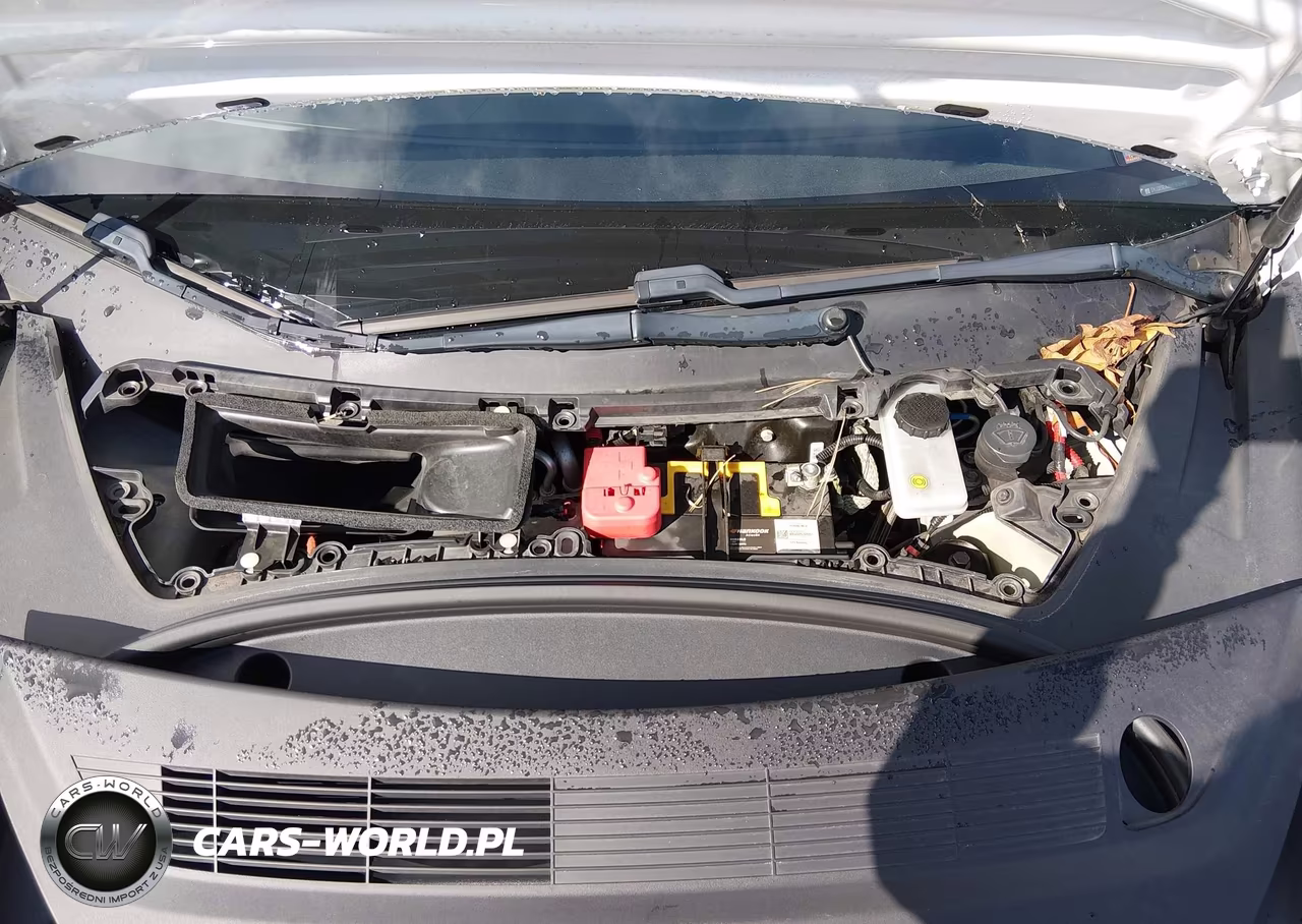 2021 Tesla Model 3 Standard Range Plus Rear-Wheel Drive VIN:5YJ3E1EA6MF838482 - 19