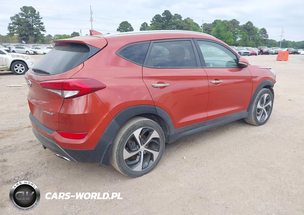 2016 Hyundai Tucson Limited VIN:KM8J33A27GU144043 - 4