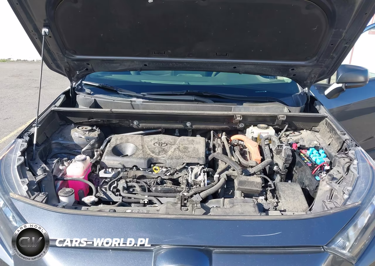 2019 Toyota Rav4 Hybrid Le VIN:JTMLWRFV9KD013943 - 10