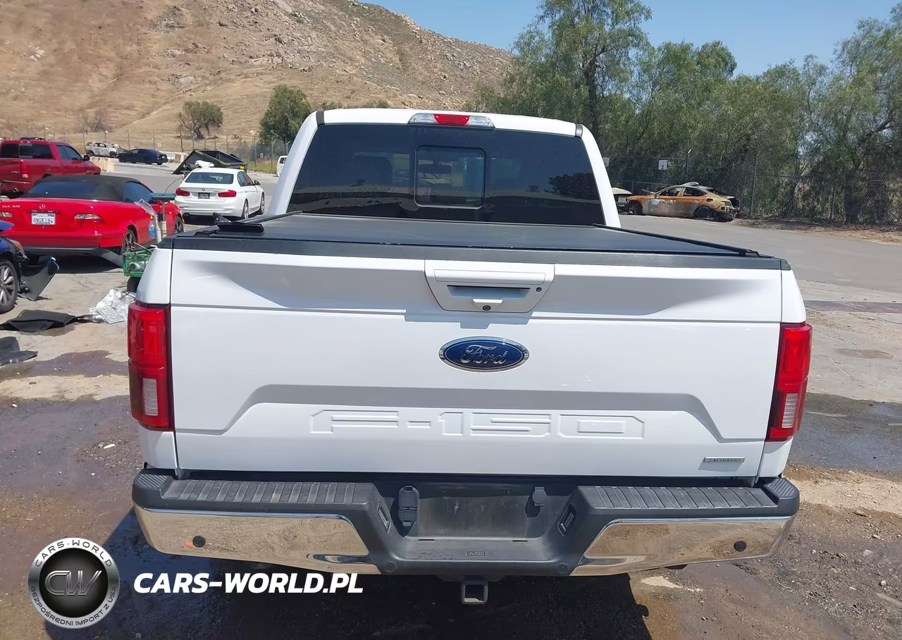 2019 Ford F-150 Lariat VIN:1FTEW1E45KKD84998 - 17