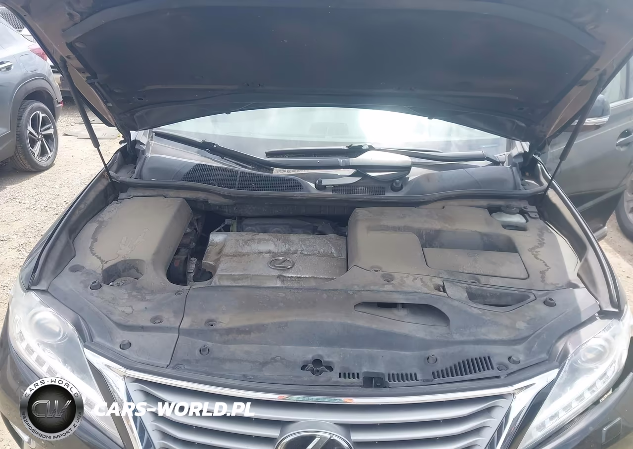 2013 Lexus Rx 350 VIN:JTJZK1BA0D2008670 - 10