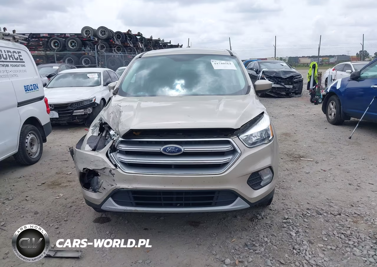 2017 Ford Escape Se VIN:1FMCU0GD7HUE12507 - 12