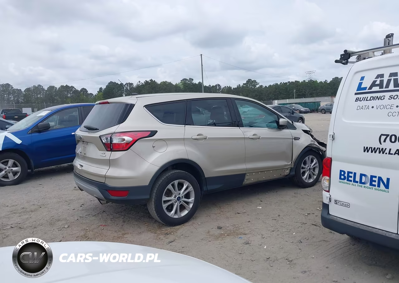 2017 Ford Escape Se VIN:1FMCU0GD7HUE12507 - 13