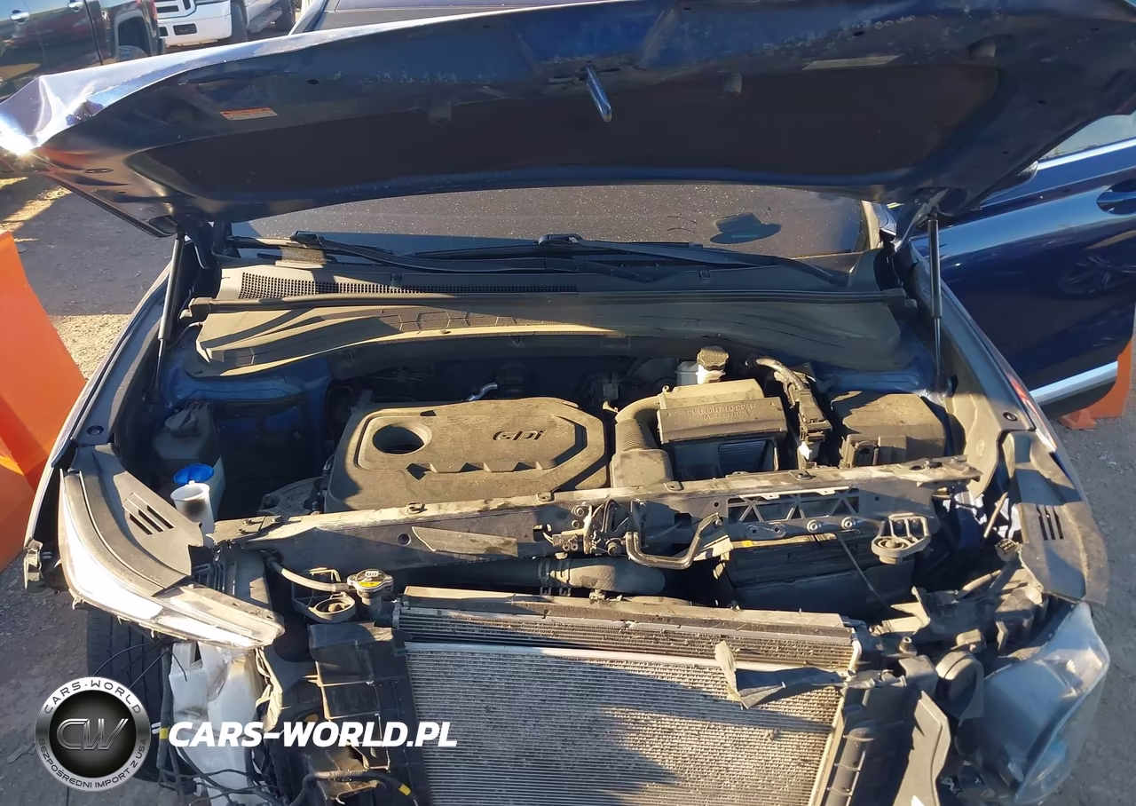 2020 Hyundai Santa Fe Sel VIN:5NMS3CAD0LH271003 - 10