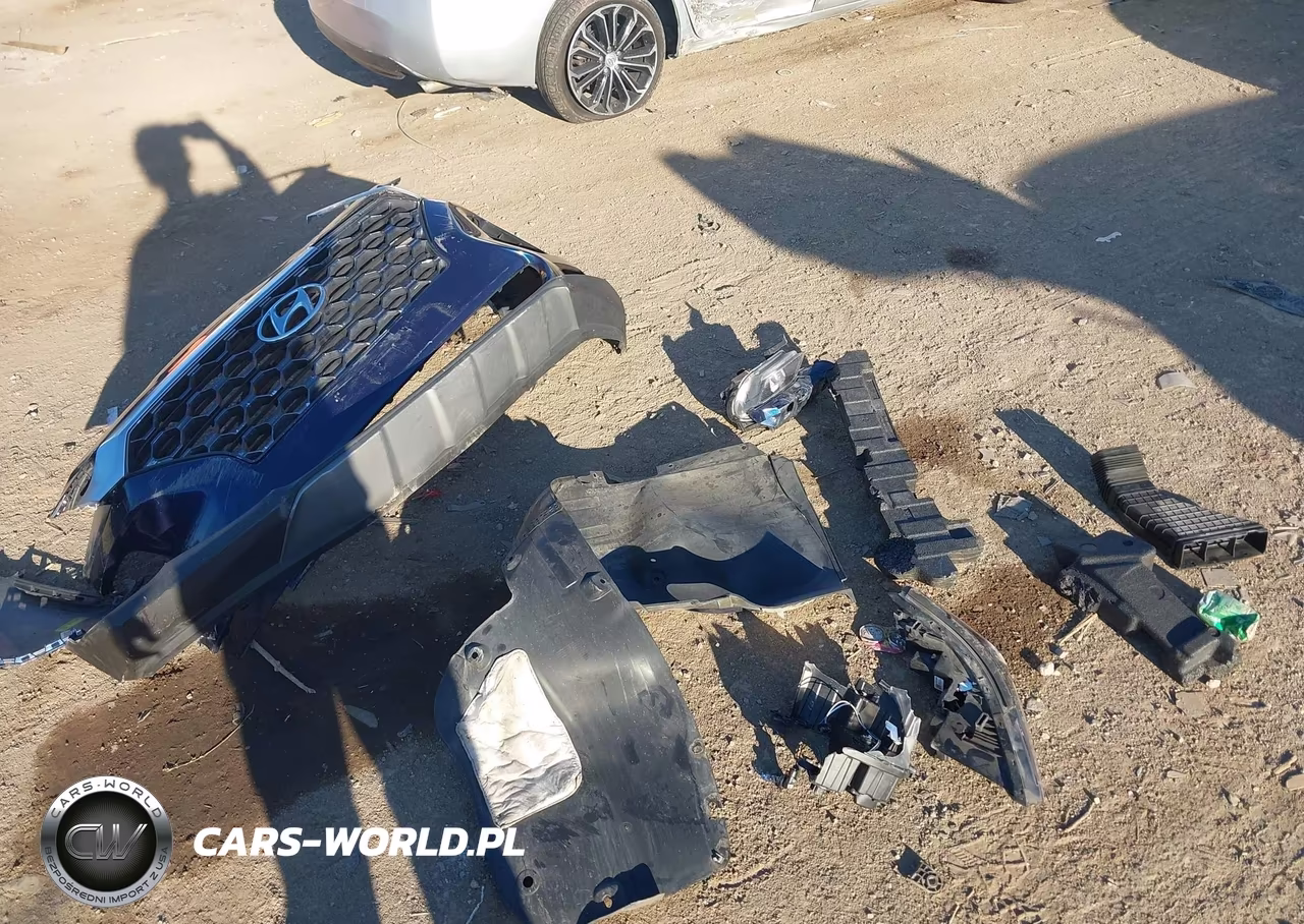 2020 Hyundai Santa Fe Sel VIN:5NMS3CAD0LH271003 - 12
