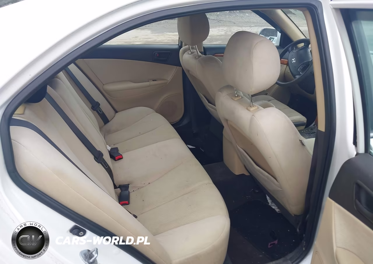 2010 Hyundai Sonata Gls VIN:5NPET4AC1AH589240 - 8