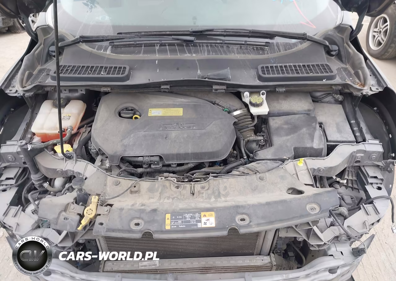 2013 Ford Escape Sel VIN:1FMCU0HXXDUD64312 - 10