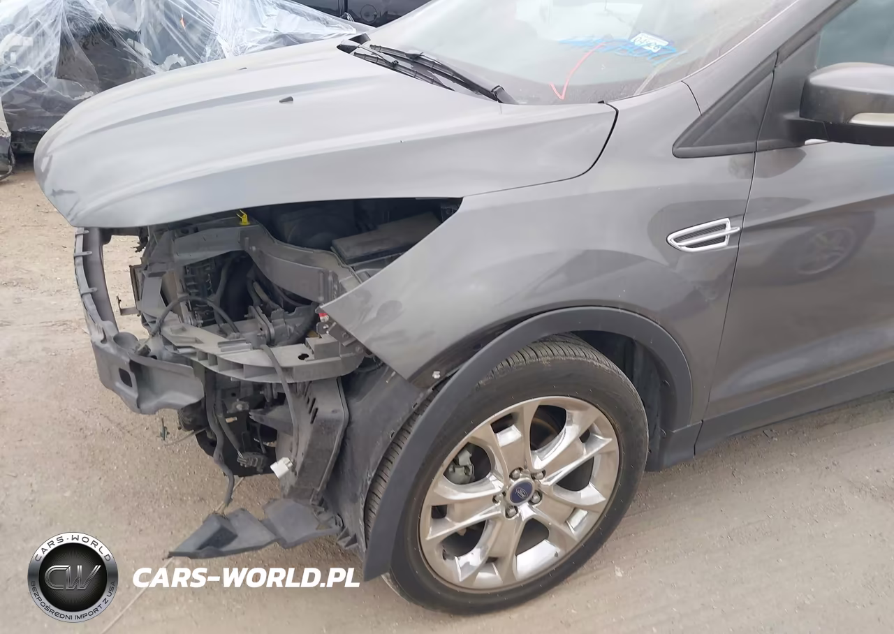 2013 Ford Escape Sel VIN:1FMCU0HXXDUD64312 - 13