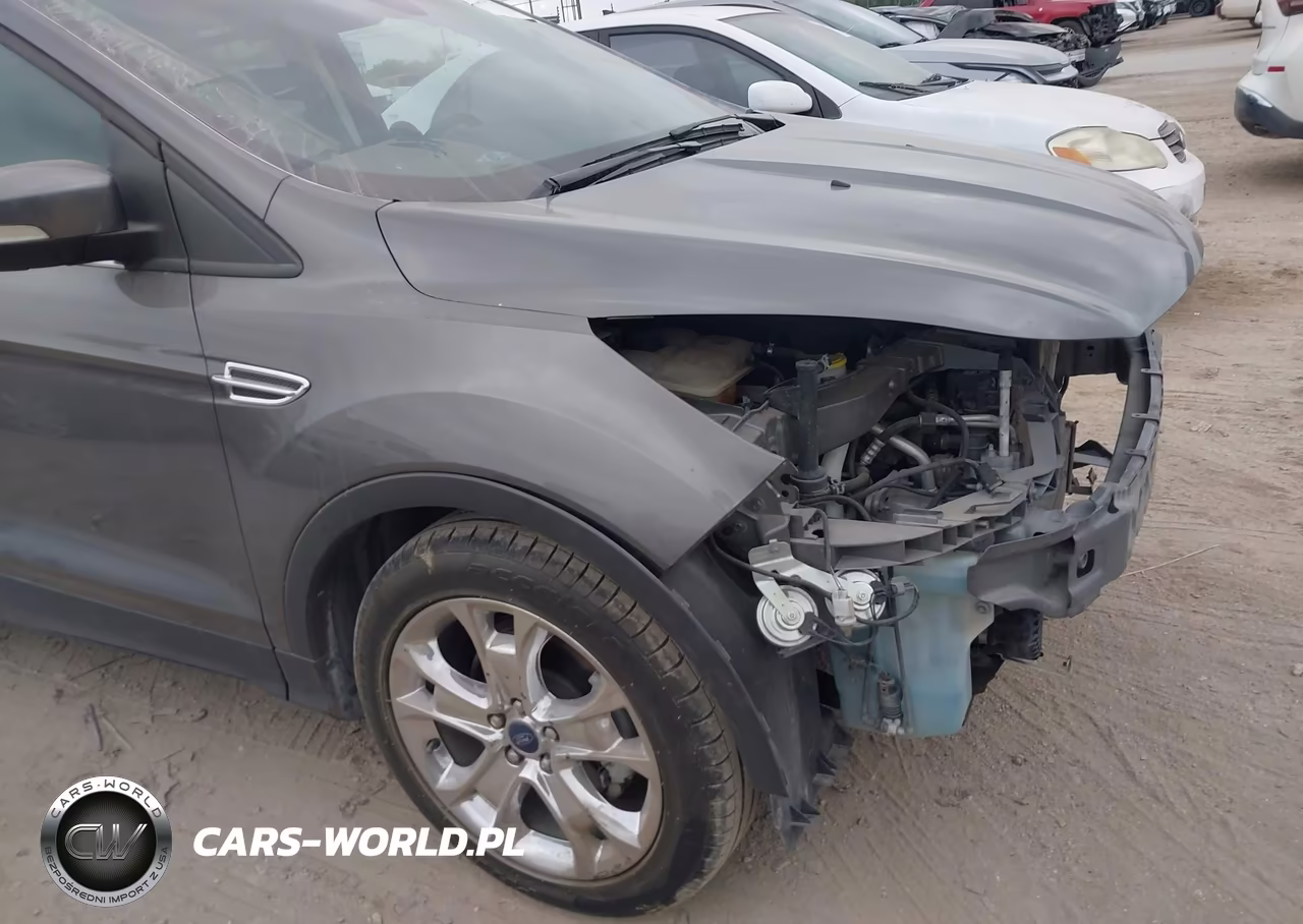 2013 Ford Escape Sel VIN:1FMCU0HXXDUD64312 - 14