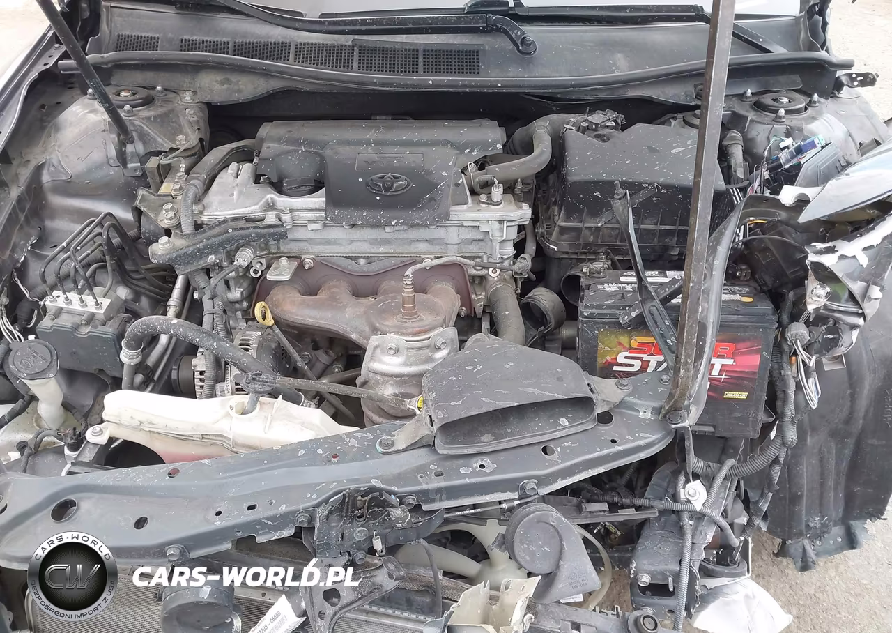 2013 Toyota Camry Xle VIN:4T4BF1FK5DR289124 - 10