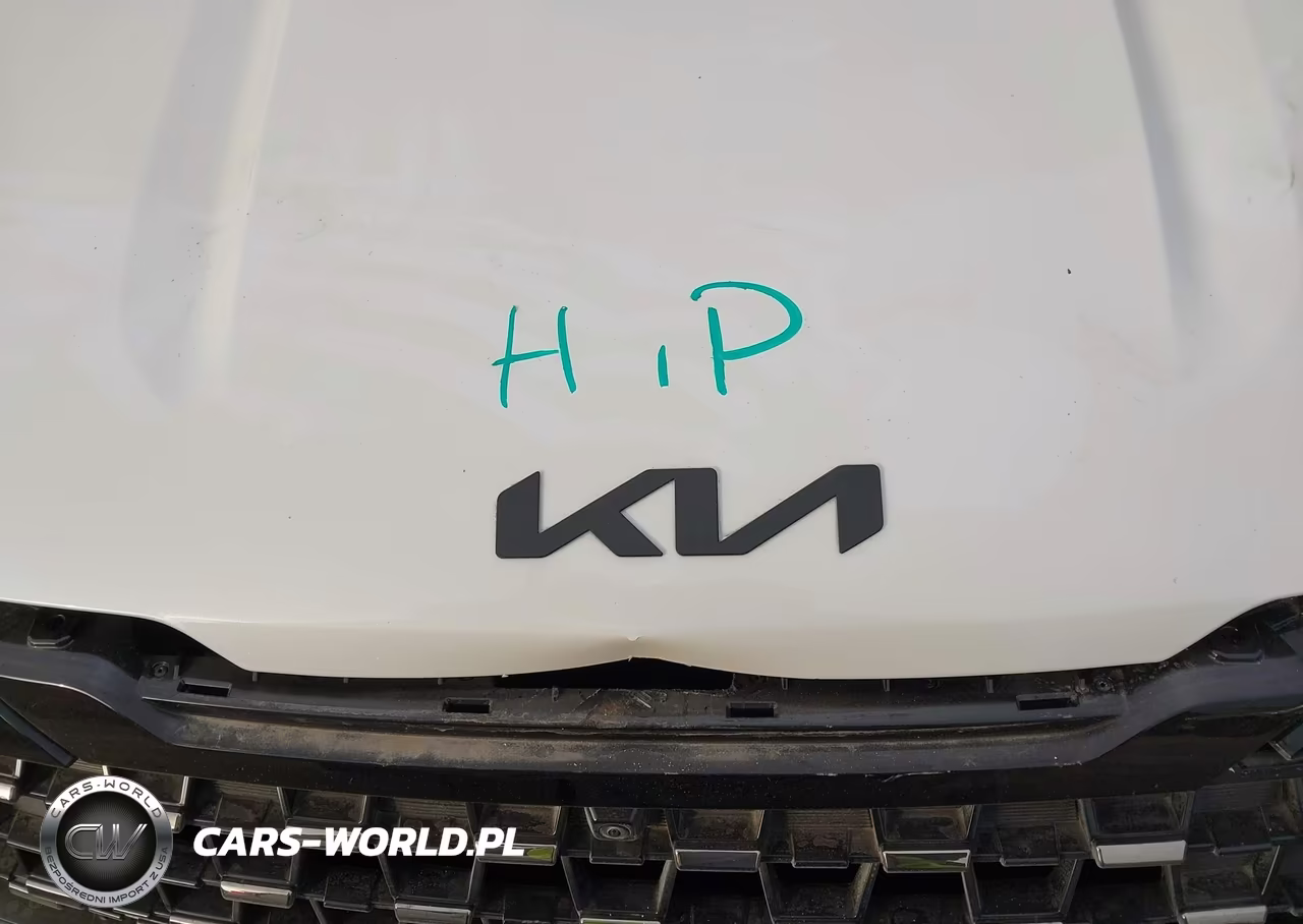 2026 Kia Carnival Mpv Sx Prestige VIN:KNDNE5K37T6566718 - 10