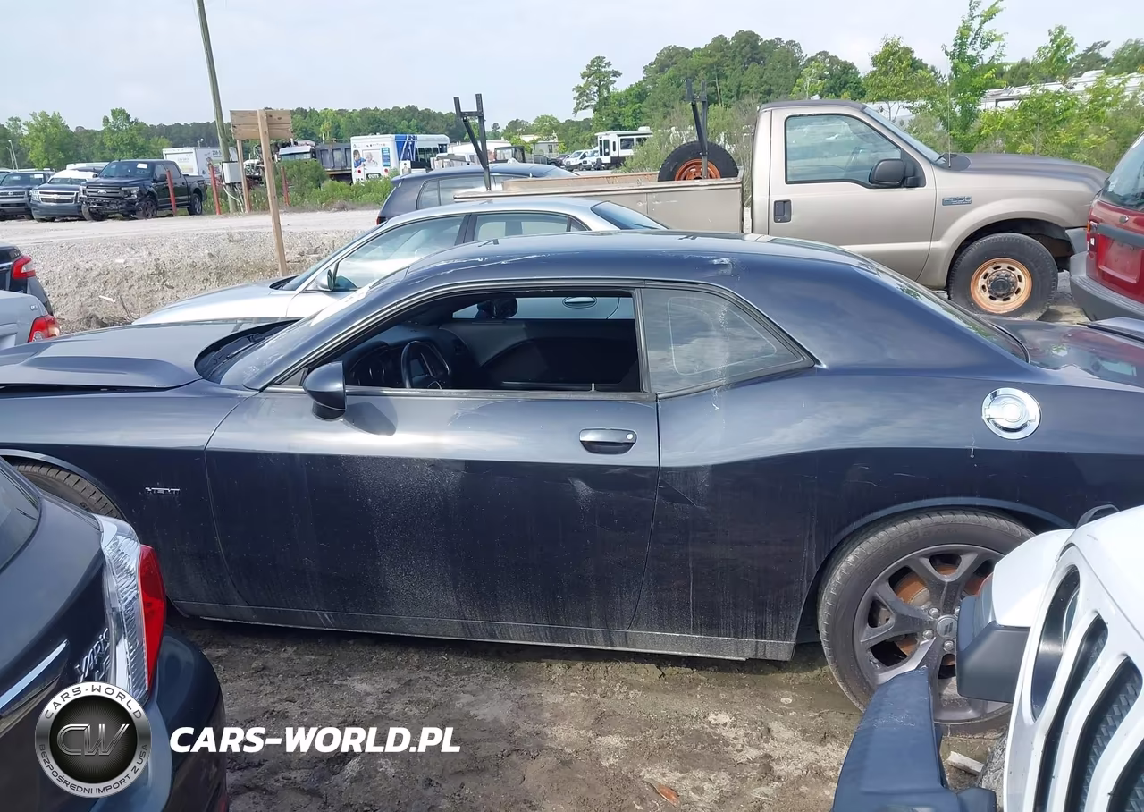 2019 Dodge Challenger Sxt VIN:2C3CDZAG6KH733920 - 14