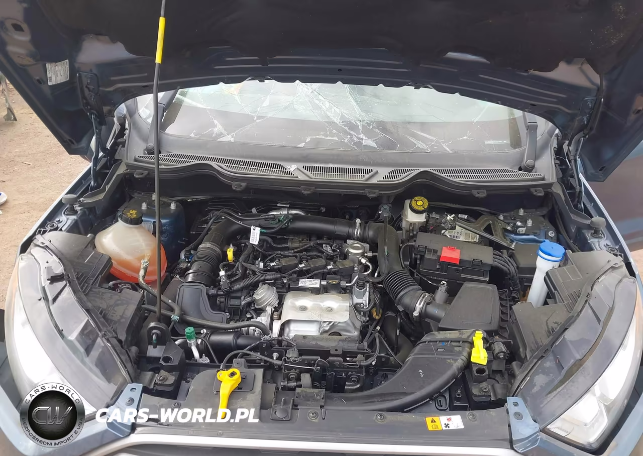 2021 Ford Ecosport Se VIN:MAJ3S2GE3MC437439 - 10