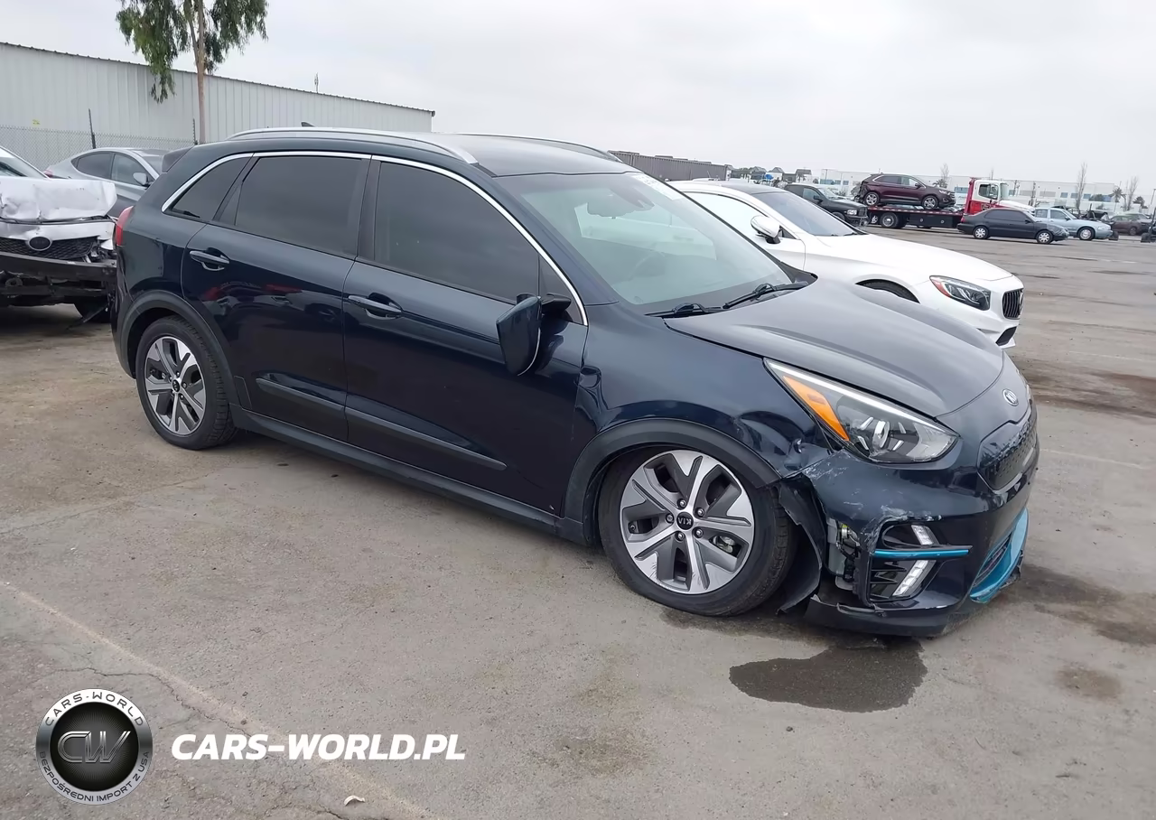 2020 Kia Niro Ev Ex