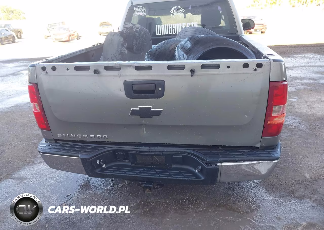 2008 Chevrolet Silverado 1500 Work Truck VIN:1GCEC14X28Z104541 - 6