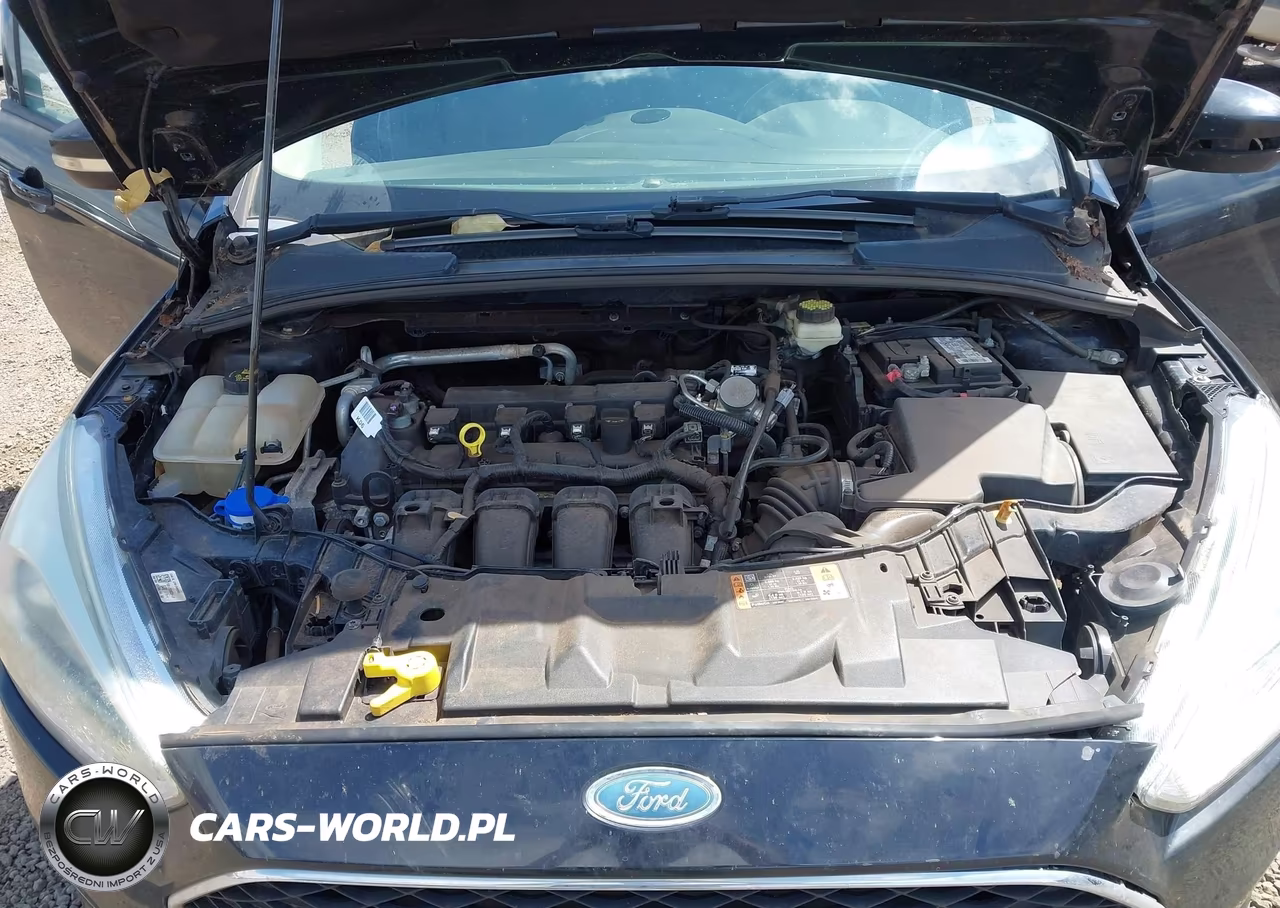 2017 Ford Focus Se VIN:1FADP3F26HL263858 - 10