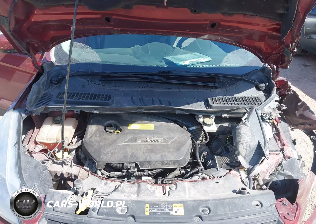 2014 Ford Escape Se VIN:1FMCU0GX7EUD17452 - 10