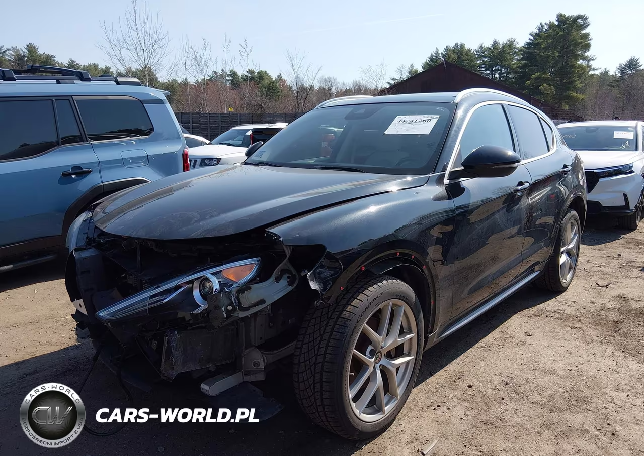 2021 Alfa Romeo Stelvio Ti Awd VIN:ZASPAKBN4M7D19521 - 2