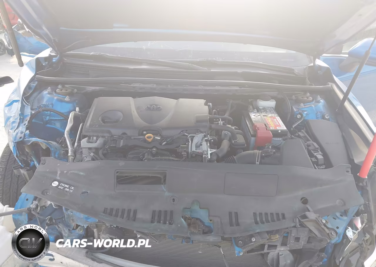 2019 Toyota Camry Le VIN:4T1B11HKXKU263380 - 10