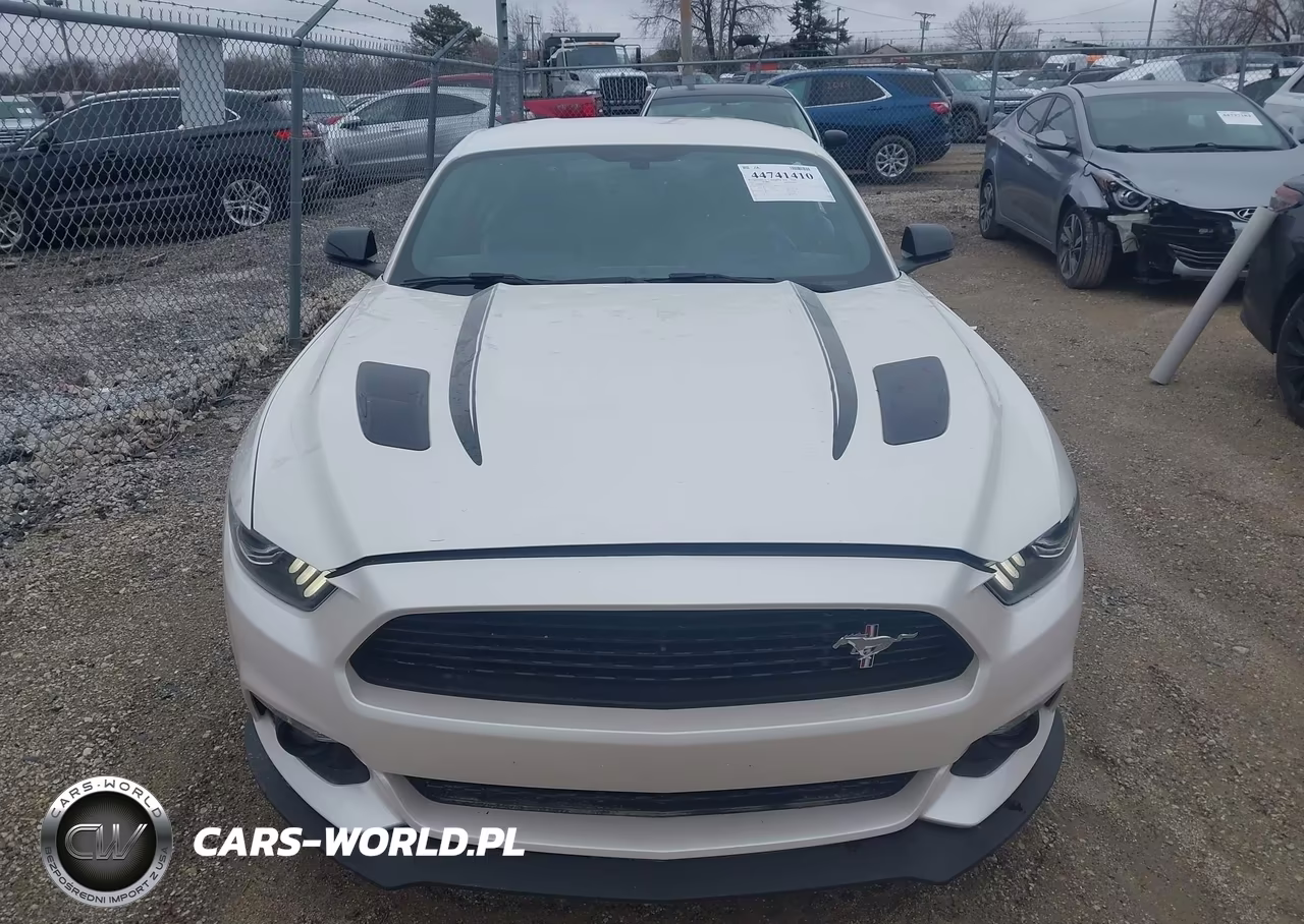 2017 Ford Mustang Gt Premium VIN:1FA6P8CF9H5237143 - 12