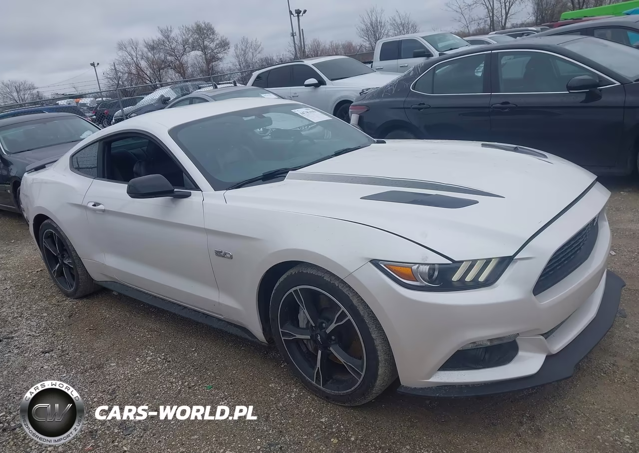 2017 Ford Mustang Gt Premium VIN:1FA6P8CF9H5237143 - 13