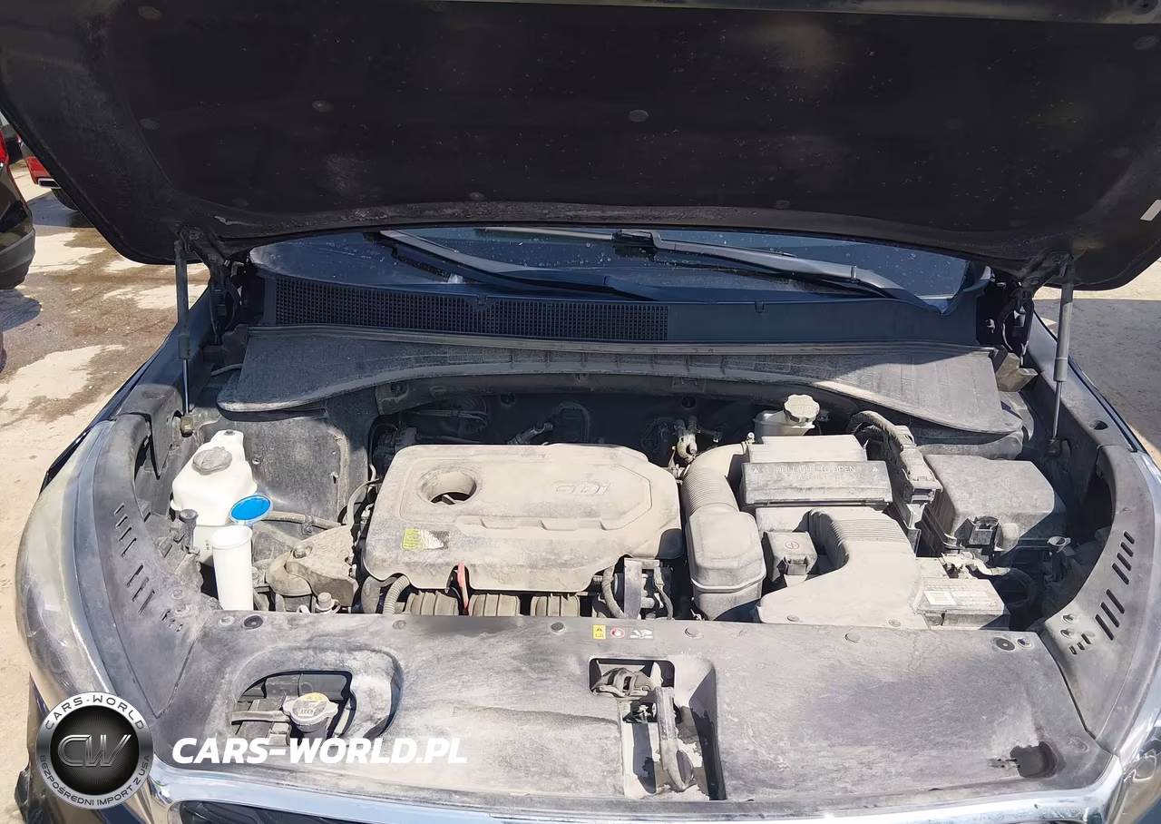 2019 Kia Sorento 2.4L L VIN:5XYPG4A38KG536699 - 10