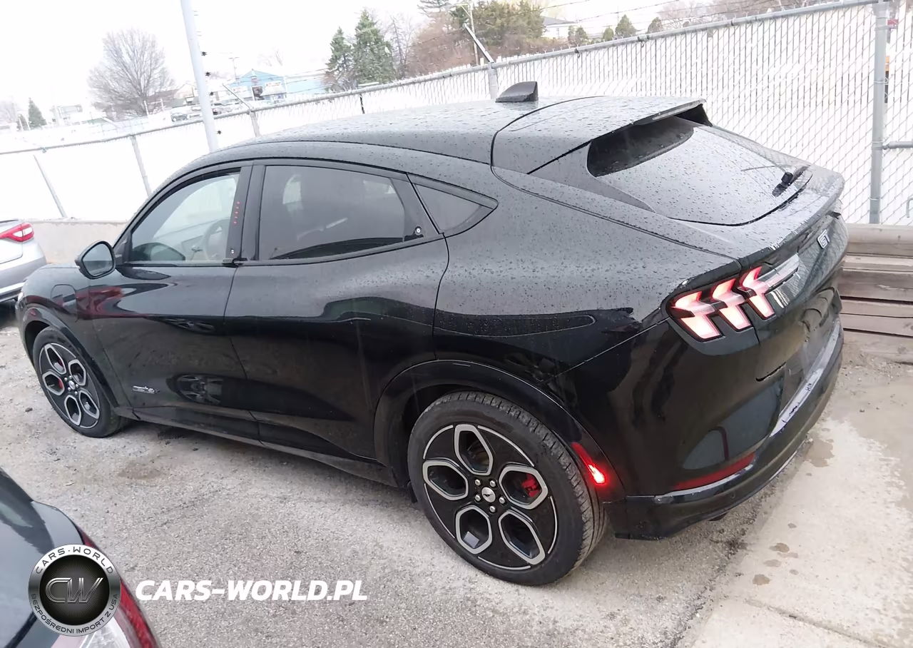 2021 Ford Mustang Mach-E Gt VIN:3FMTK4SE7MME00501 - 14