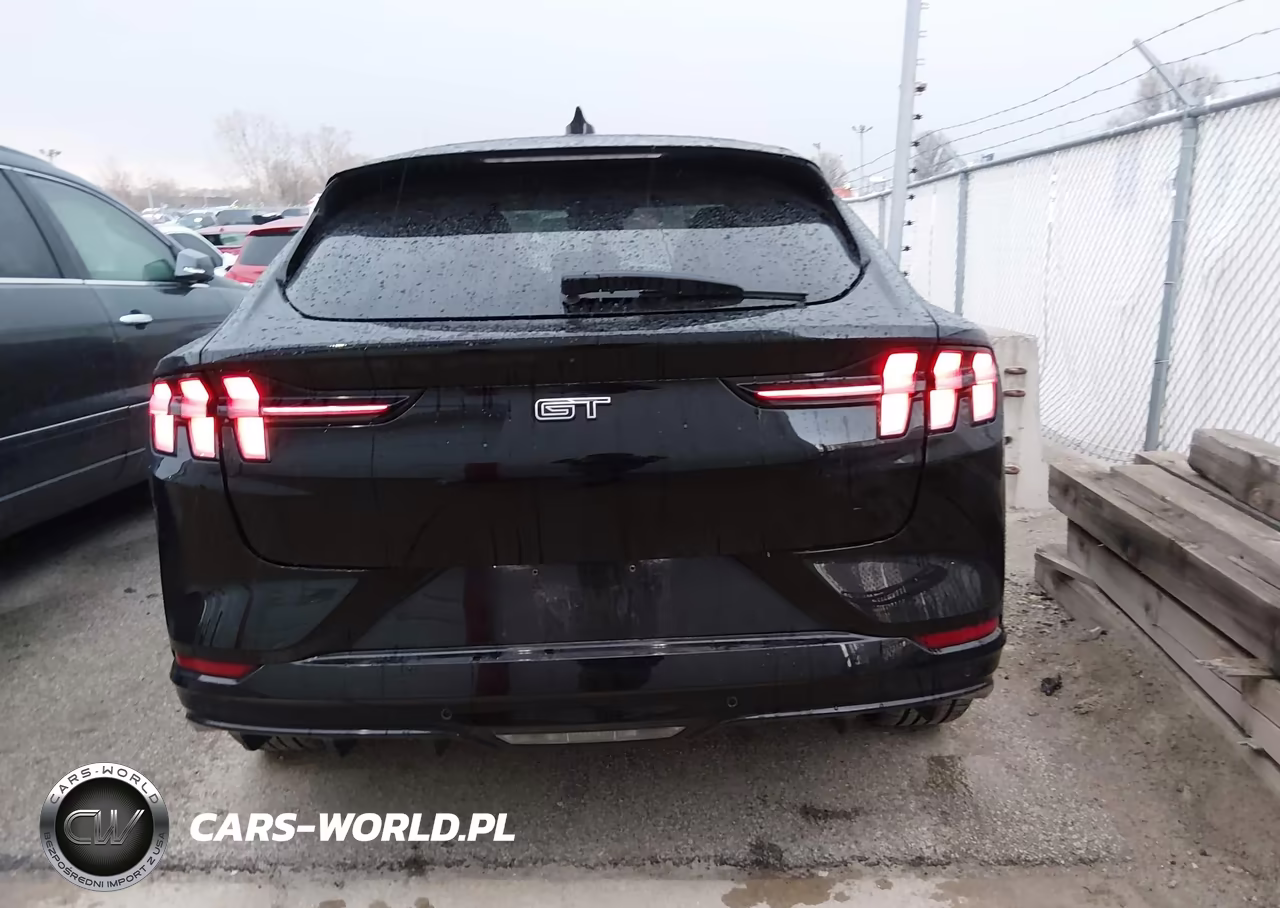 2021 Ford Mustang Mach-E Gt VIN:3FMTK4SE7MME00501 - 16