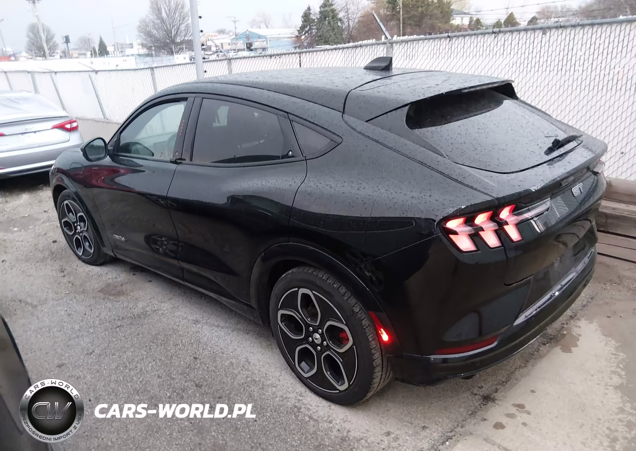 2021 Ford Mustang Mach-E Gt VIN:3FMTK4SE7MME00501 - 3